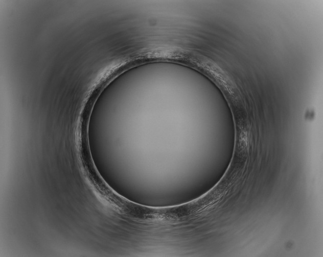 X0000100330678200806121128