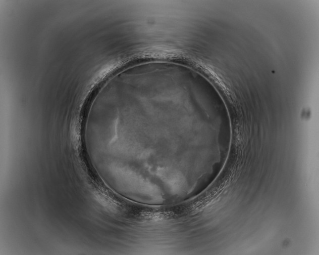 X0000100330679200806121128