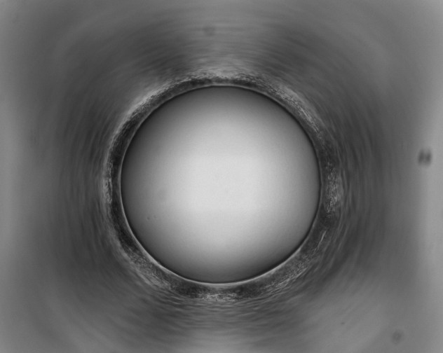 X0000100330680200806121128