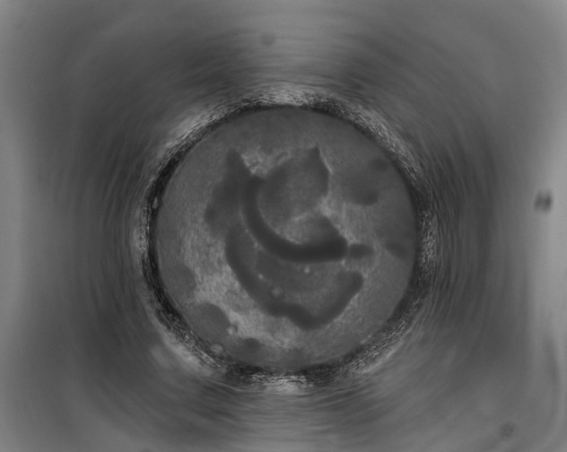 X0000100330683200806121128