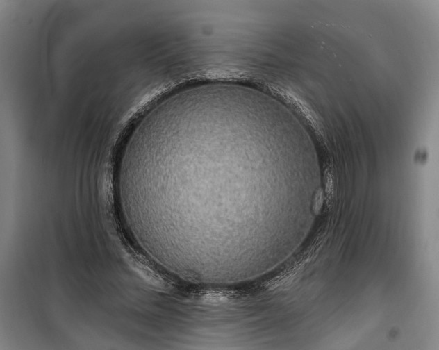 X0000100330684200806121128