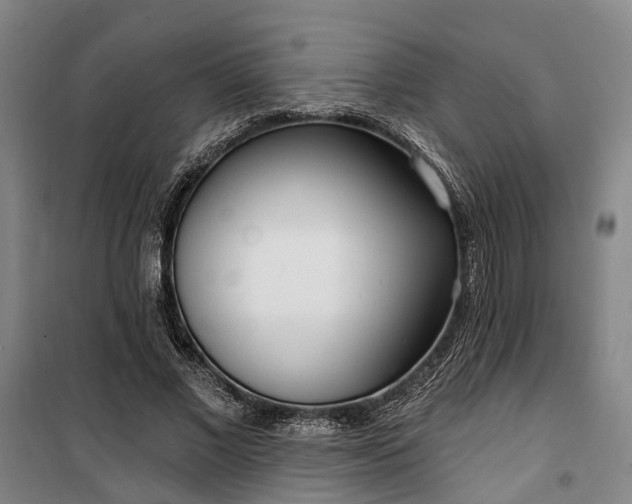 X0000100330685200806121128