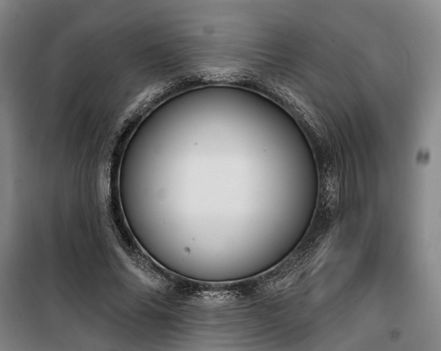 X0000100330686200806121128