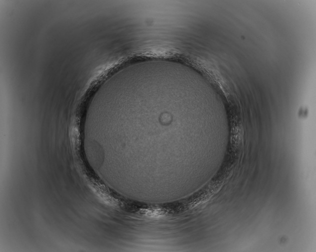 X0000100330688200806121128