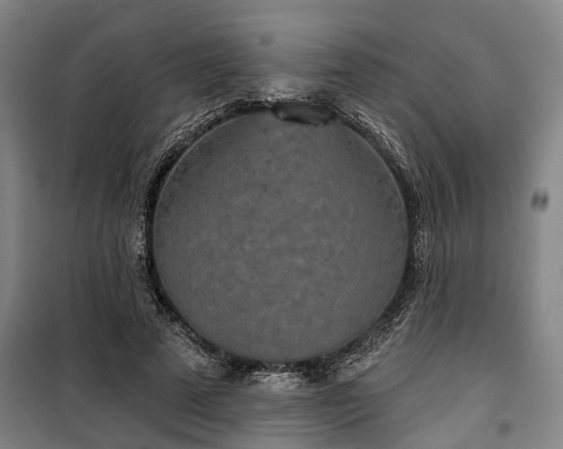 X0000100330689200806121128