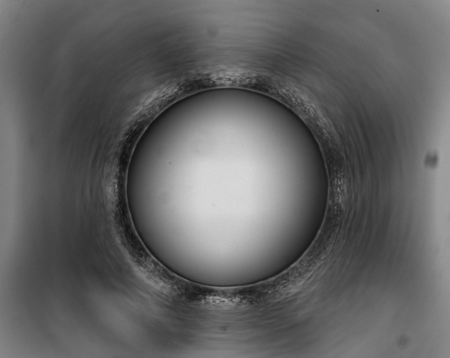 X0000100330690200806121128