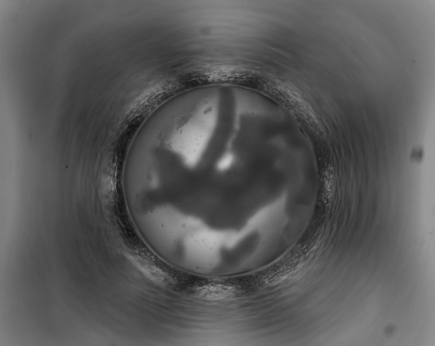 X0000100330691200806121128