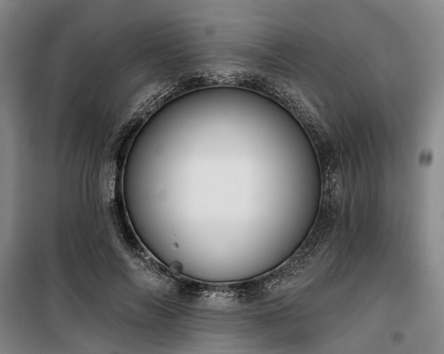 X0000100330694200806121128