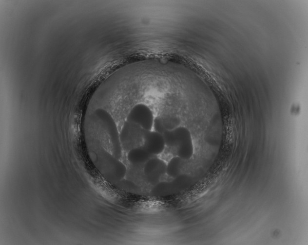 X0000100330695200806121128