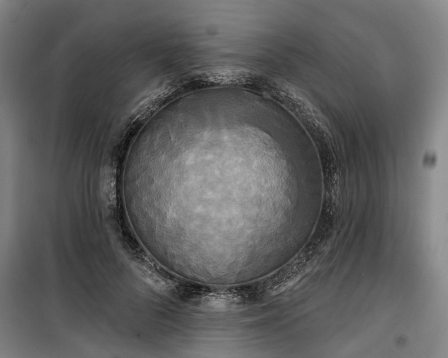 X0000100330696200806121128