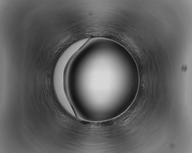 X0000100330697200806121128