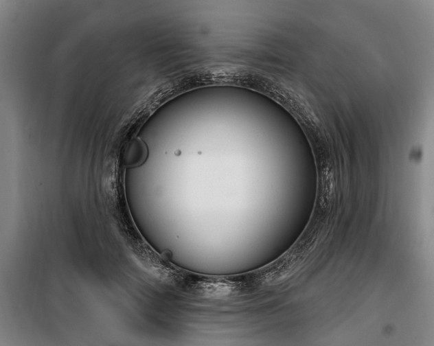 X0000100330698200806121128