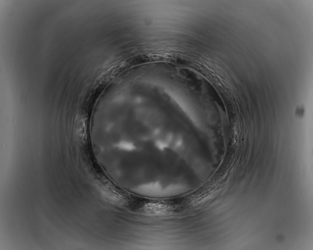 X0000100330699200806121128