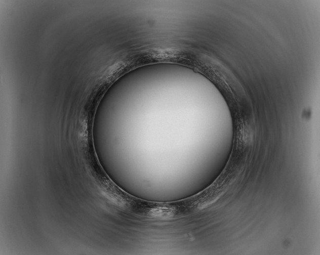 X0000100330700200806121128