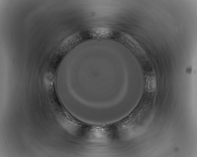 X0000100330701200806121128