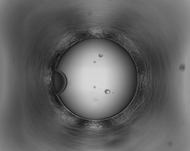 X0000100330702200806121128