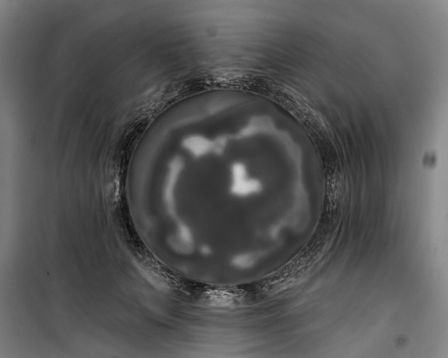 X0000100330703200806121128