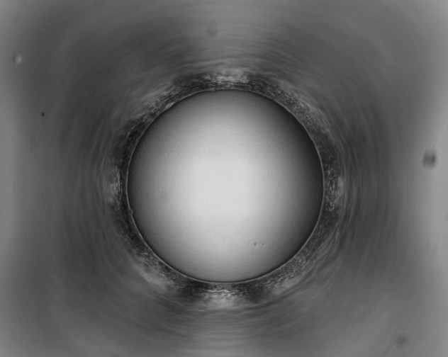 X0000100330704200806121128