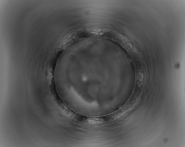 X0000100330707200806121128