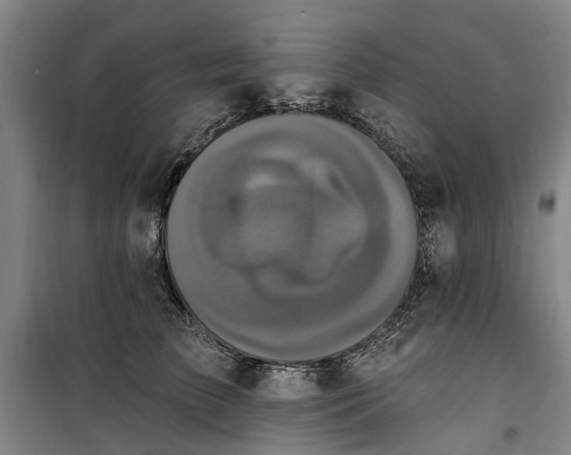 X0000100330709200806121128