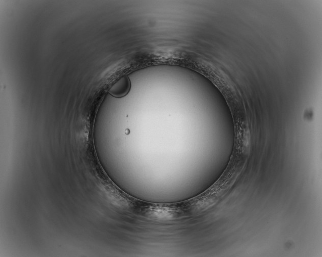 X0000100330710200806121128