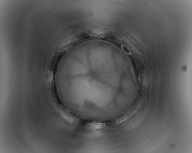 X0000100330711200806121128