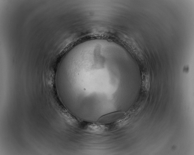 X0000100330712200806121128