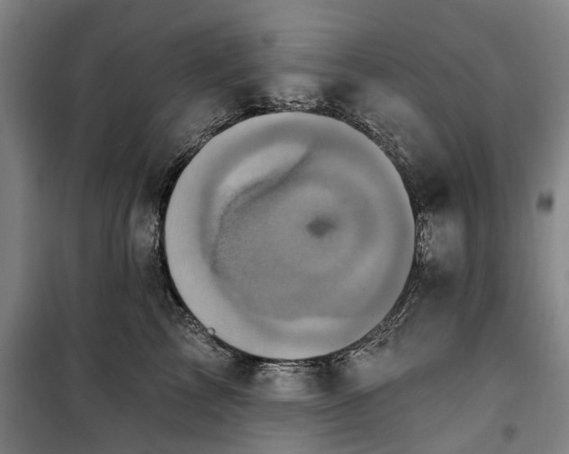 X0000100330713200806121128