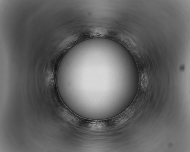 X0000100330714200806121128