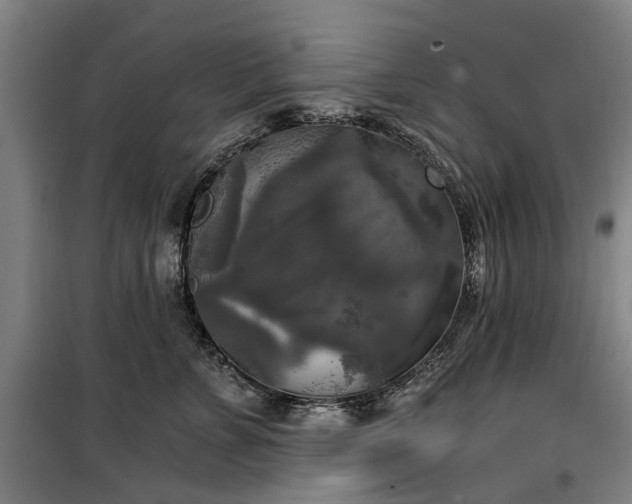 X0000100330715200806121128