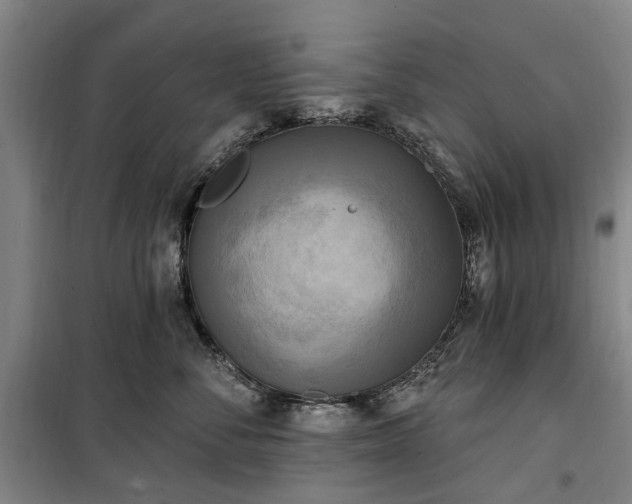 X0000100330716200806121128