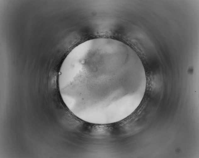 X0000100330717200806121128