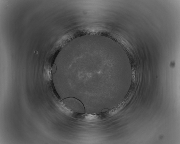 X0000100330718200806121128