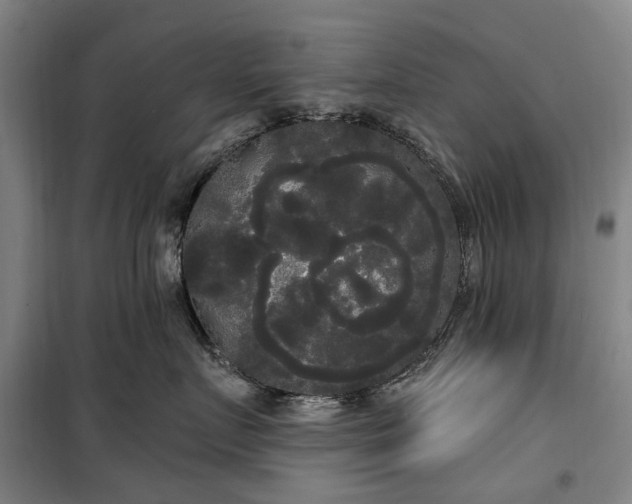 X0000100330719200806121128