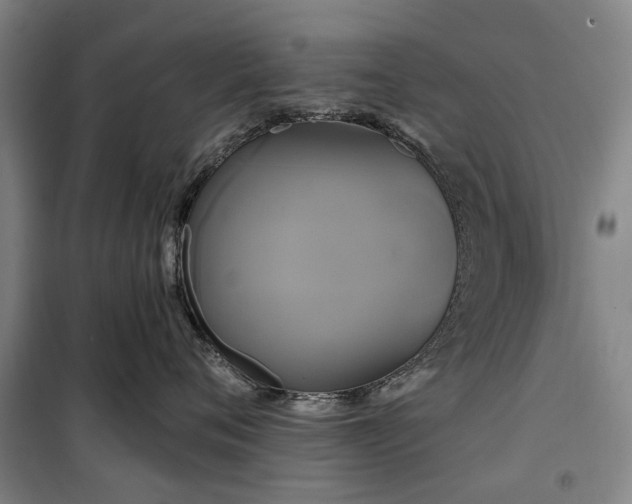 X0000100330720200806121127