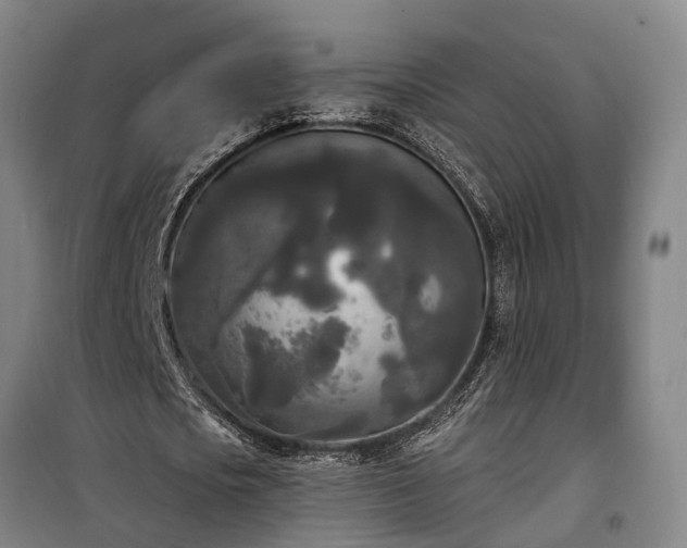 X0000100330721200806121127