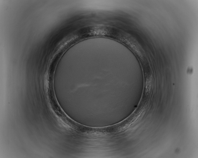 X0000100330722200806121127