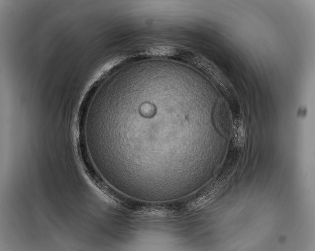 X0000100330726200806121127