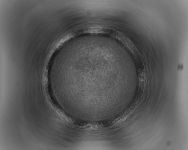 X0000100330727200806121127