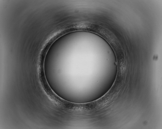 X0000100330728200806121127