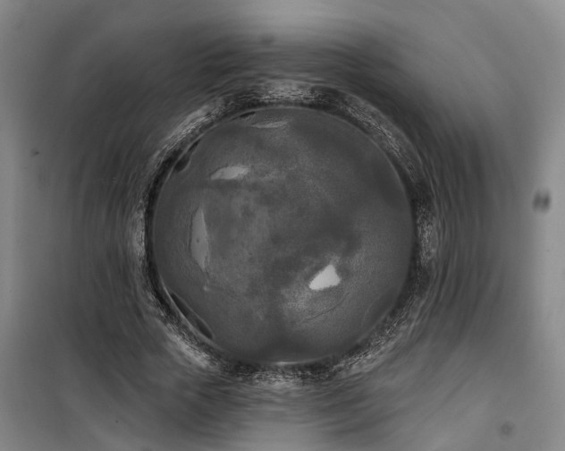 X0000100330729200806121127