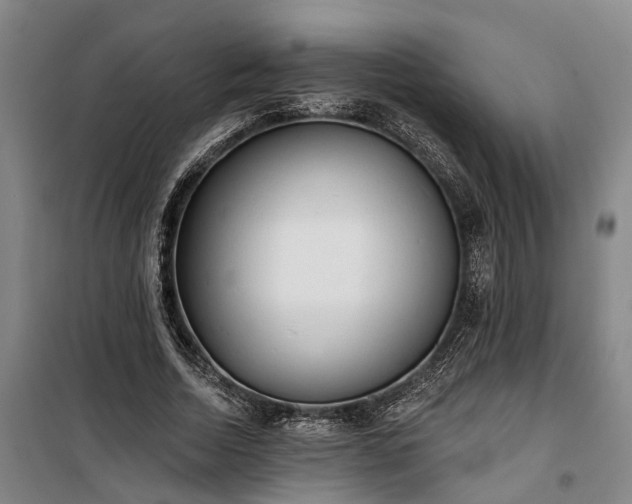 X0000100330730200806121127