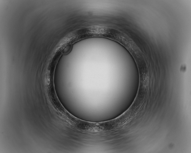 X0000100330731200806121127