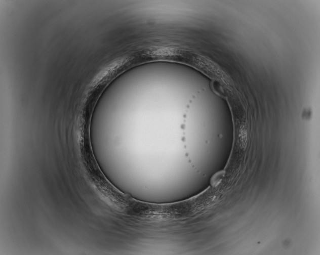 X0000100330732200806121127