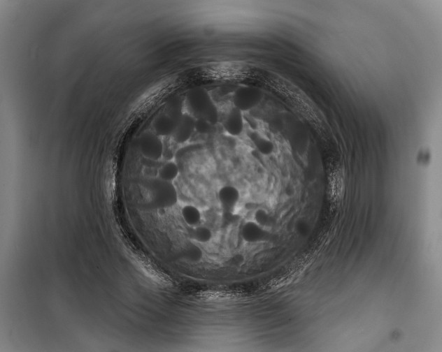 X0000100330733200806121127