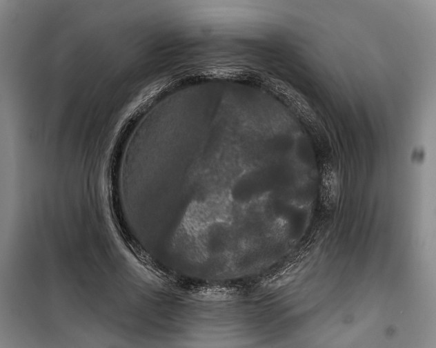 X0000100330734200806121127