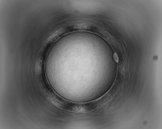 X0000100330735200806121127