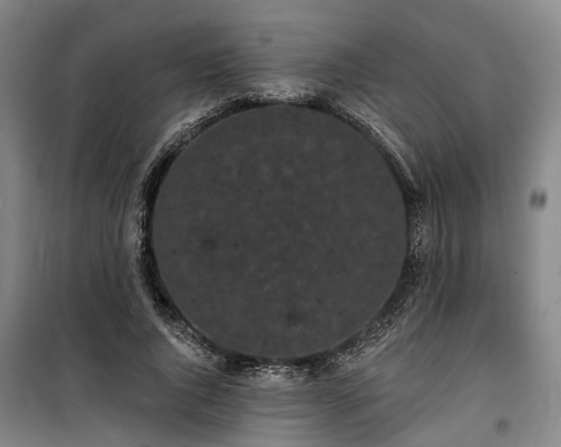 X0000100330736200806121127