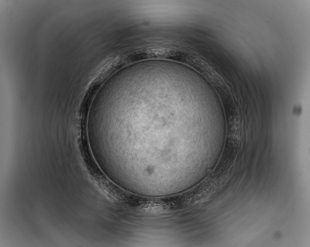 X0000100330738200806121127