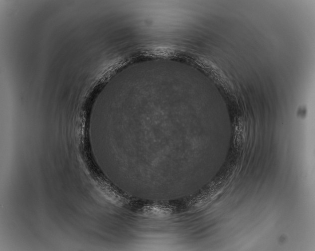 X0000100330739200806121127